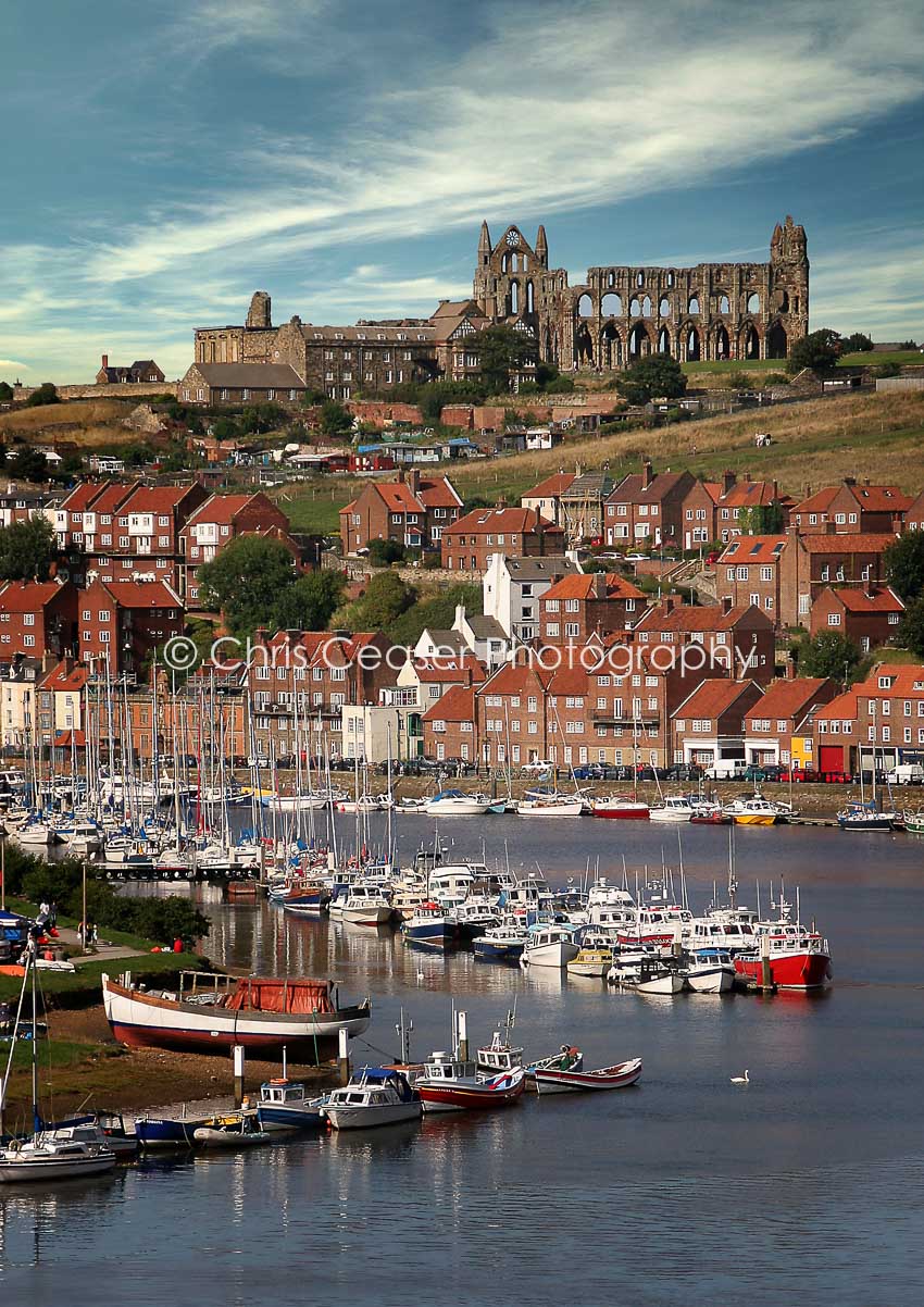 card 11 - Whitby