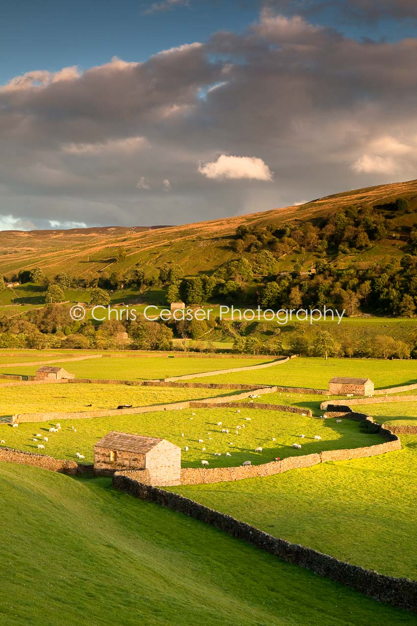 End of the day, swaledale
