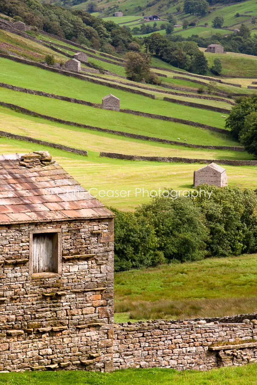 Heart Of The Dales, Swaledale