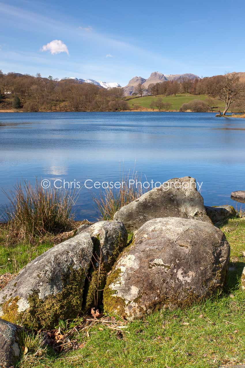 By Loughrigg Tarn