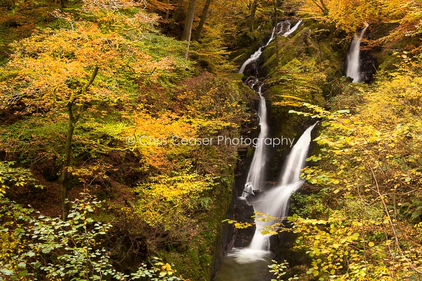 Autumn Gold, Stock Ghyl Falls