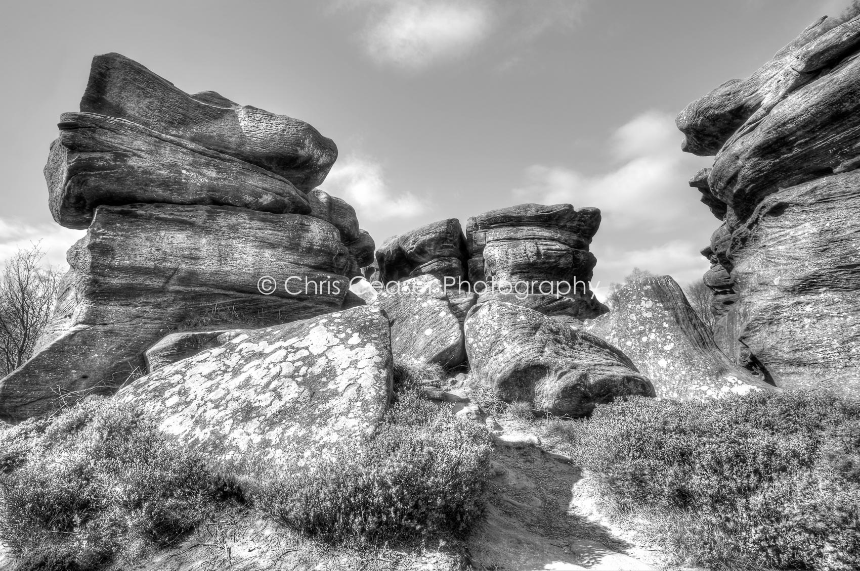 Stone Columns, Brimham Rocks