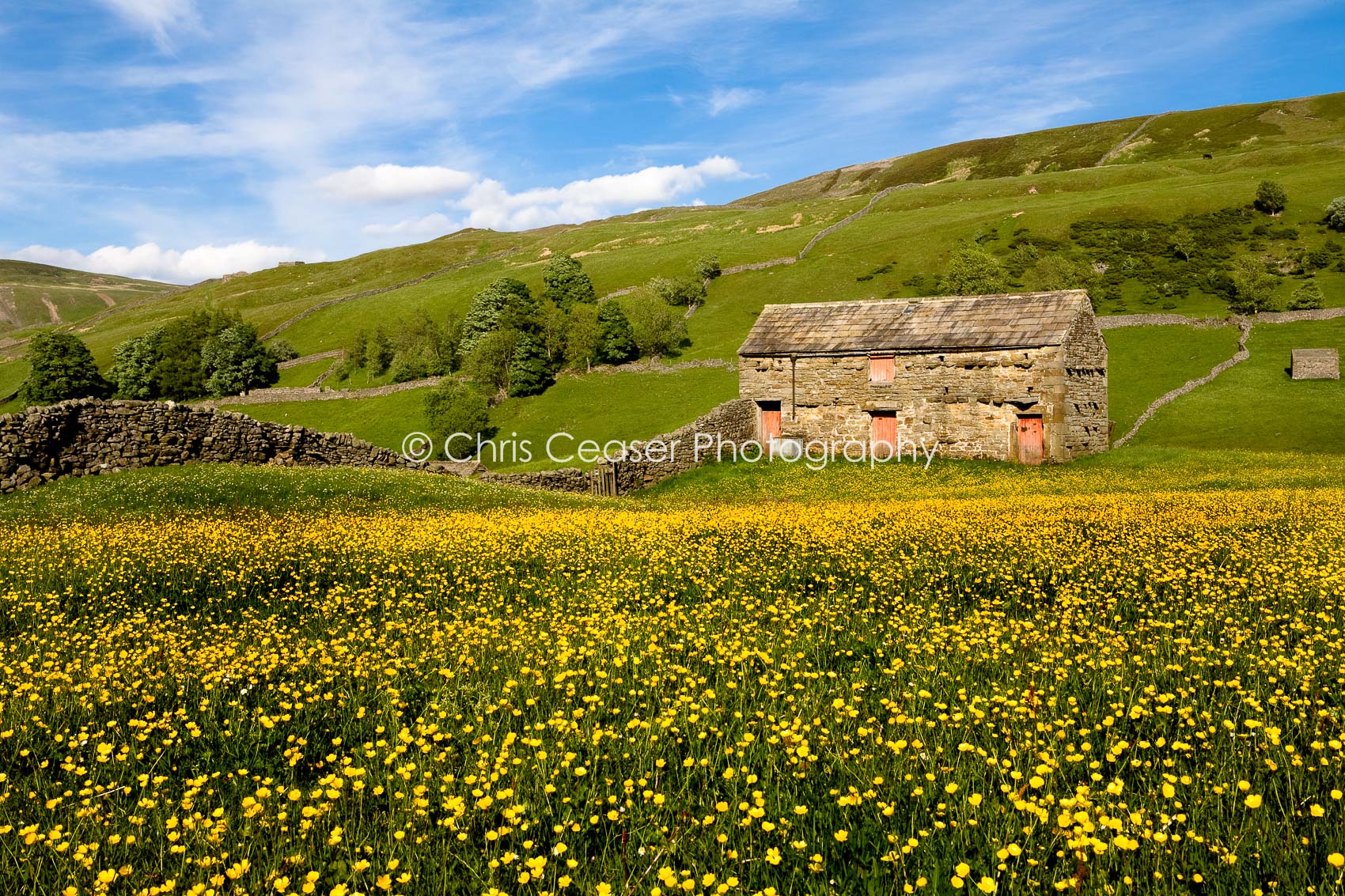 Barns and buttercups