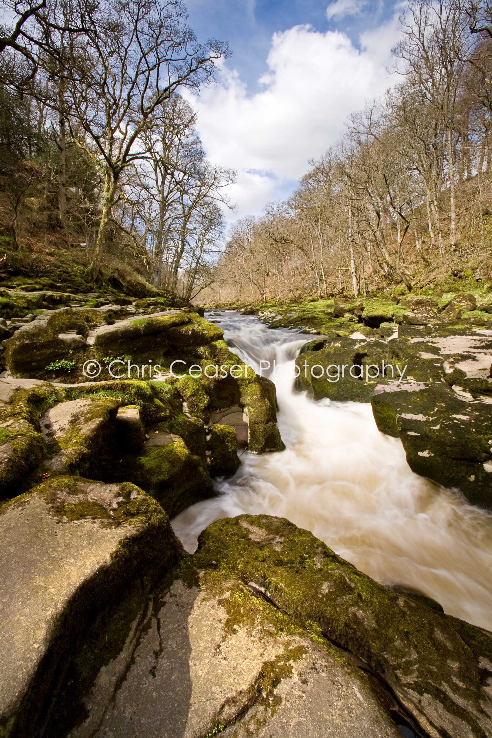 The Strid Bolton Abbey Chris Ceaser Photography The Strid Bolton Abbey Chris Ceaser Photography