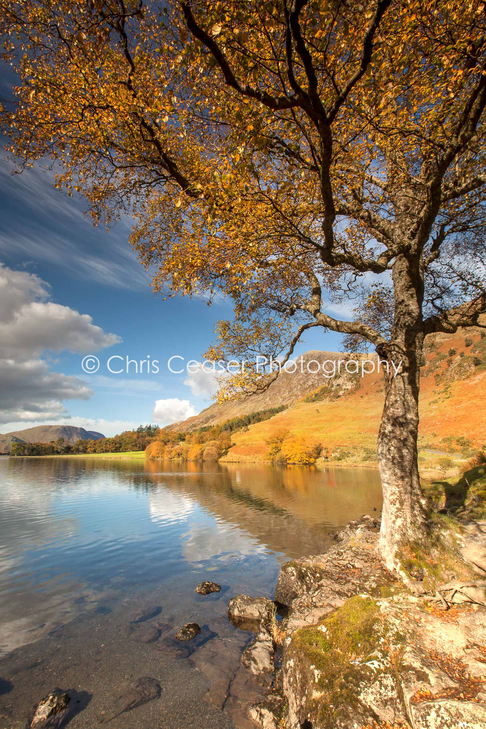 Autumn Leaves, Buttermere