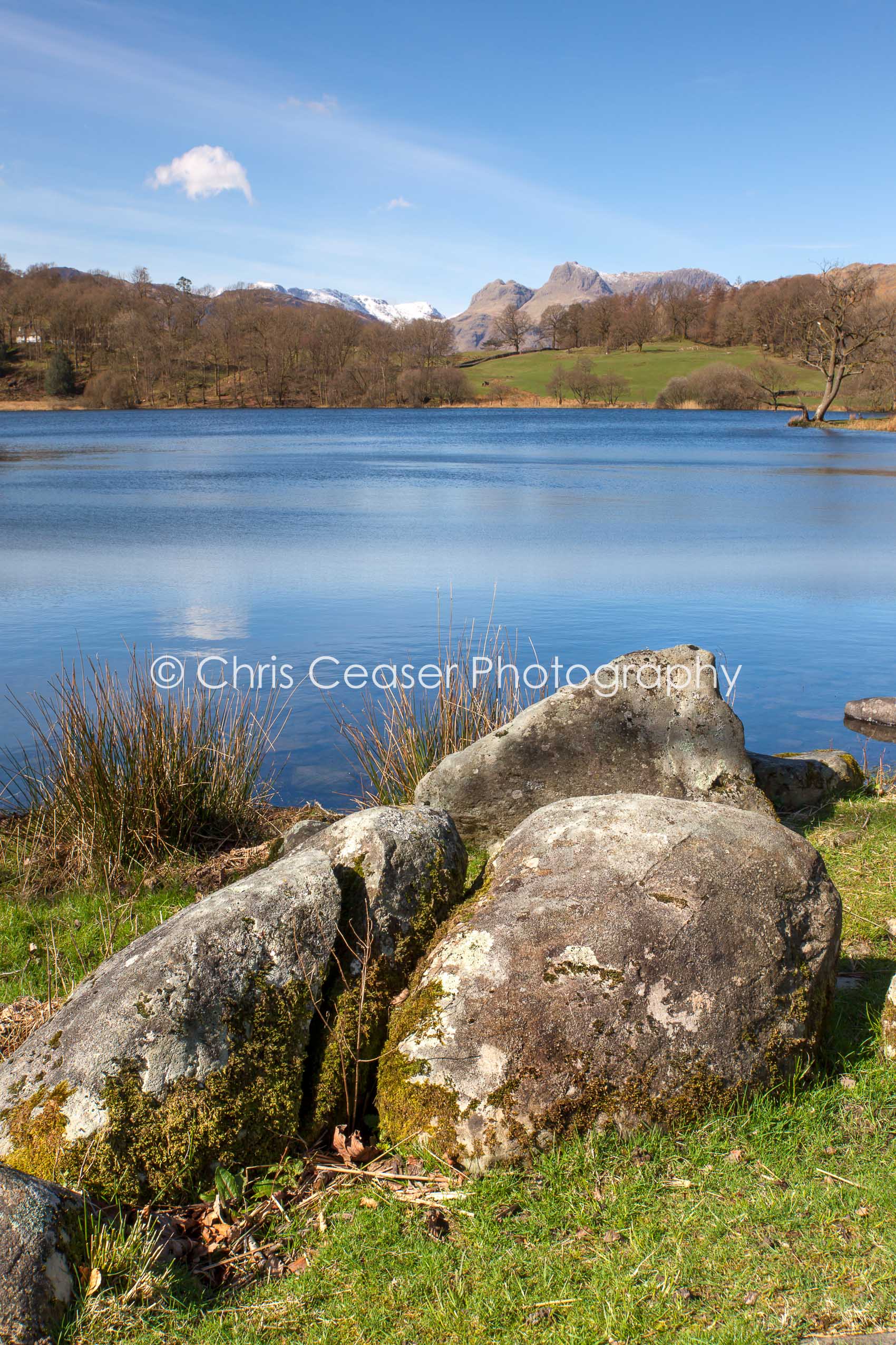 By Loughrigg Tarn