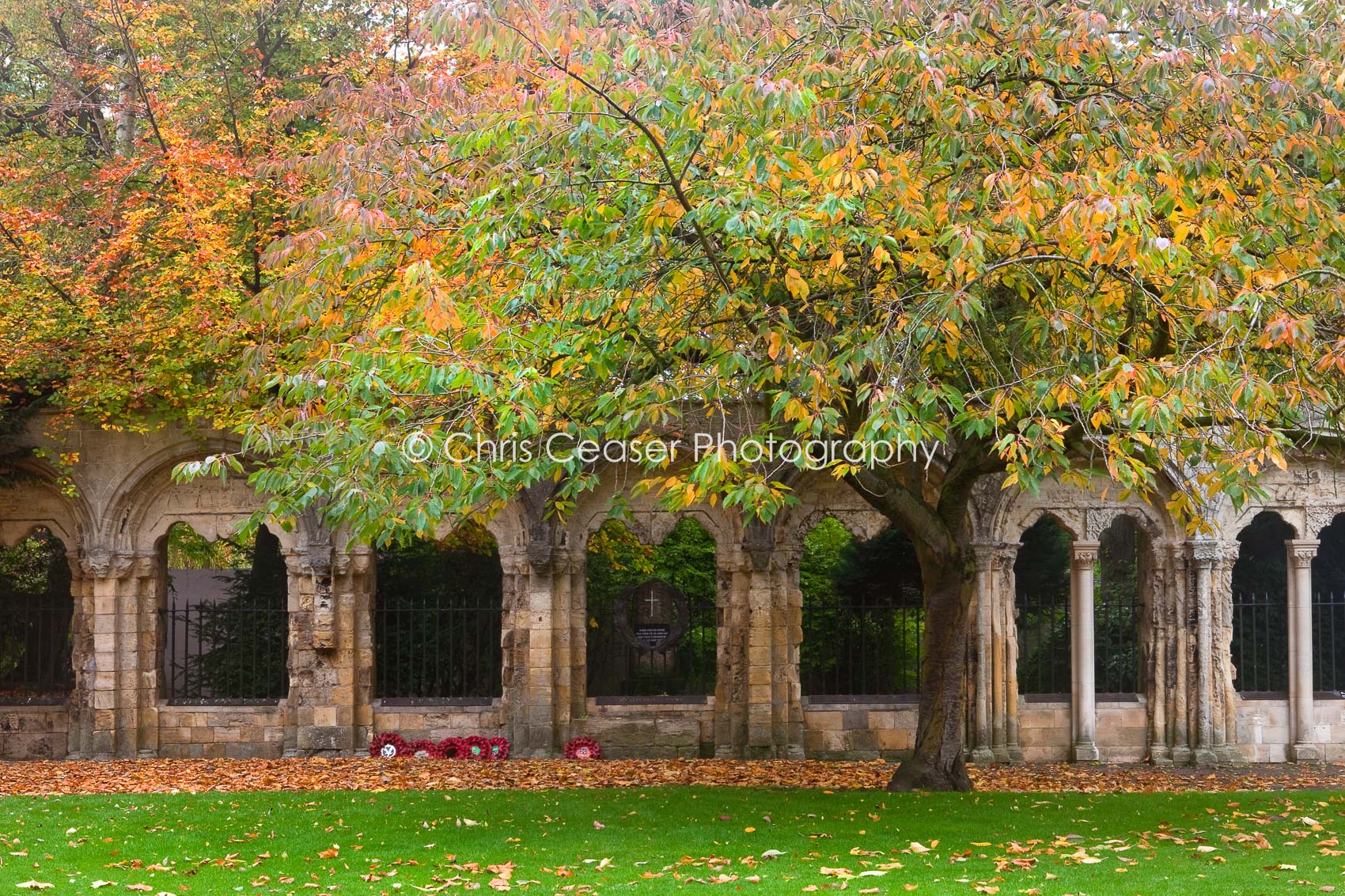 Autumn Colour, Dean's Park