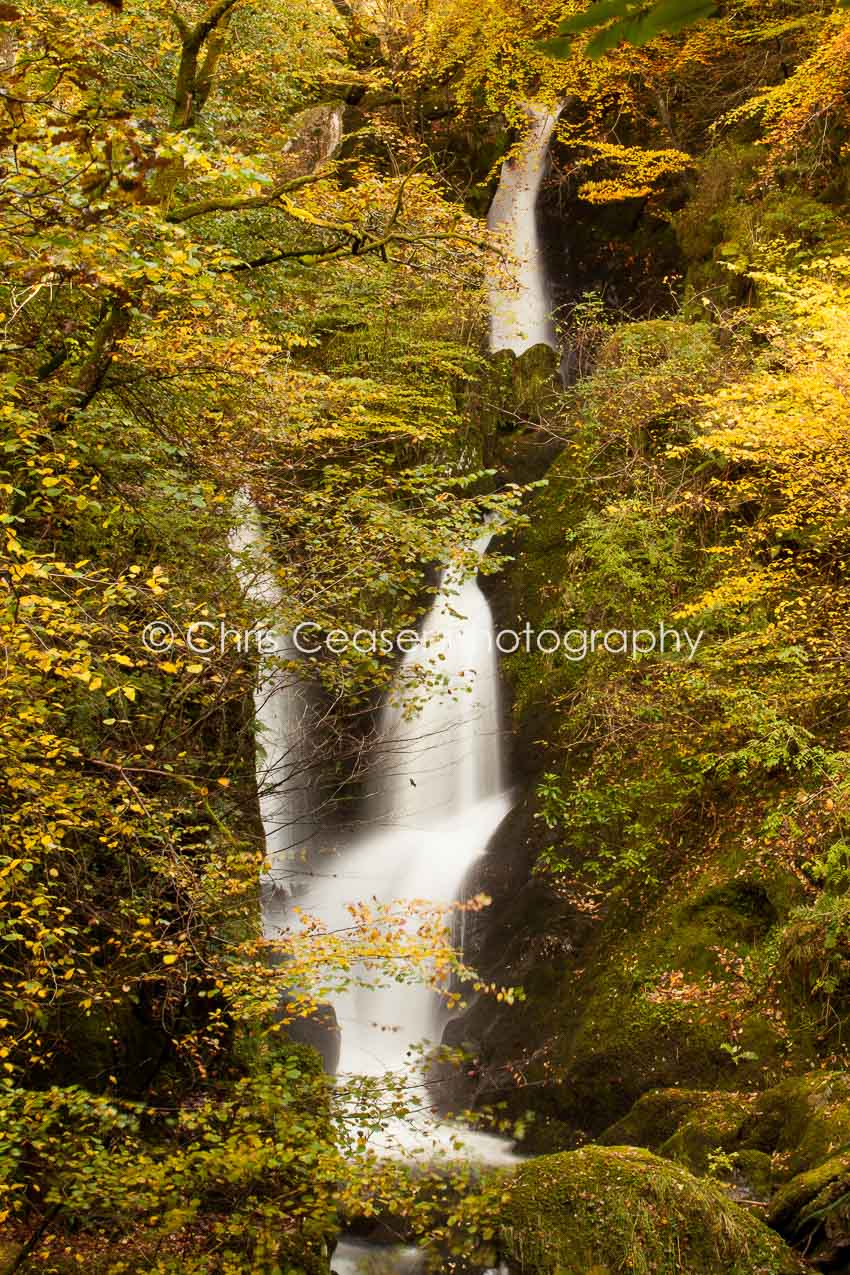 Through The Leaves, Stock Ghyll Falls