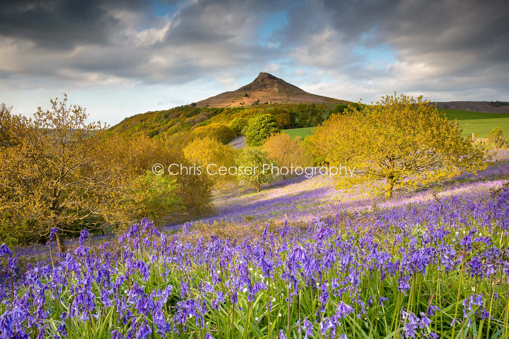 A Touch Of Blue, Roseberry Topping