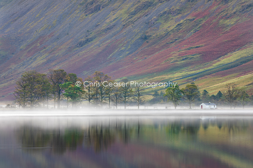 Trees In Mist, Buttermere